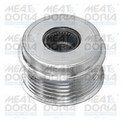 Alternator Freewheel Clutch